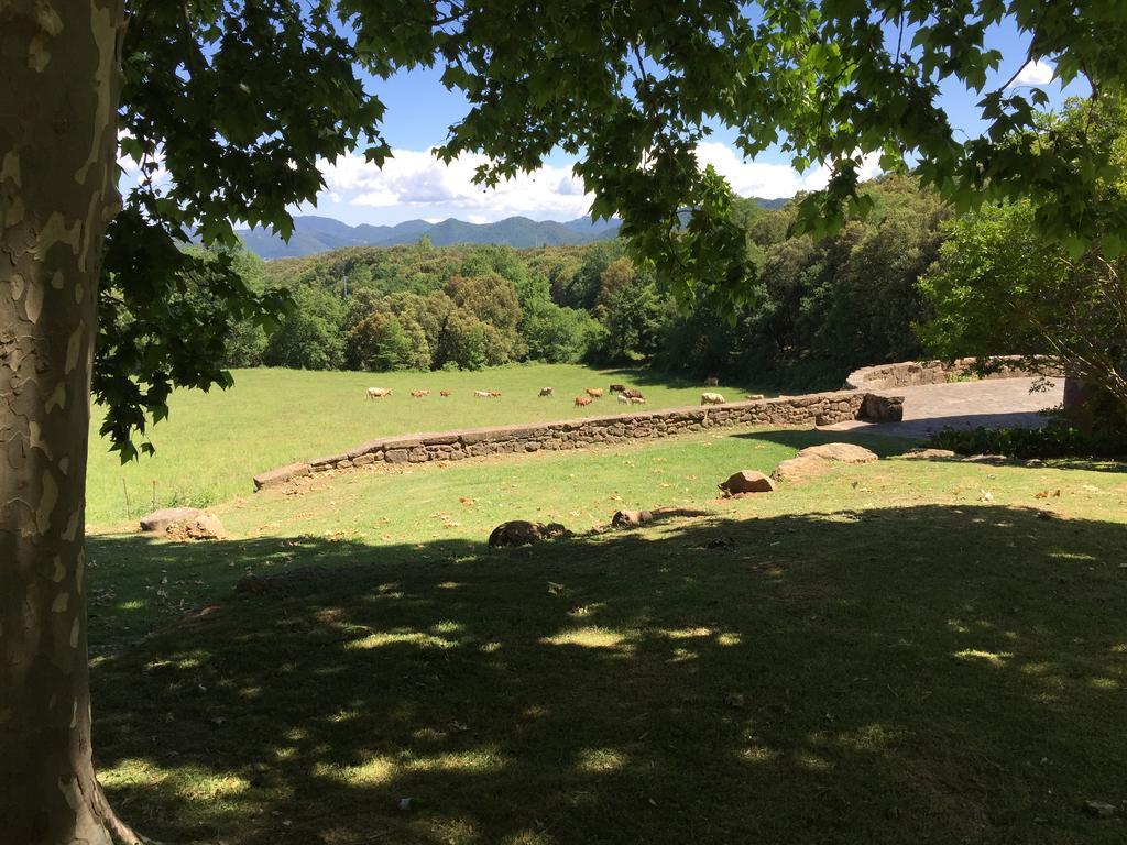 Casa Rural El Callis La Vall de Bianya Dış mekan fotoğraf
