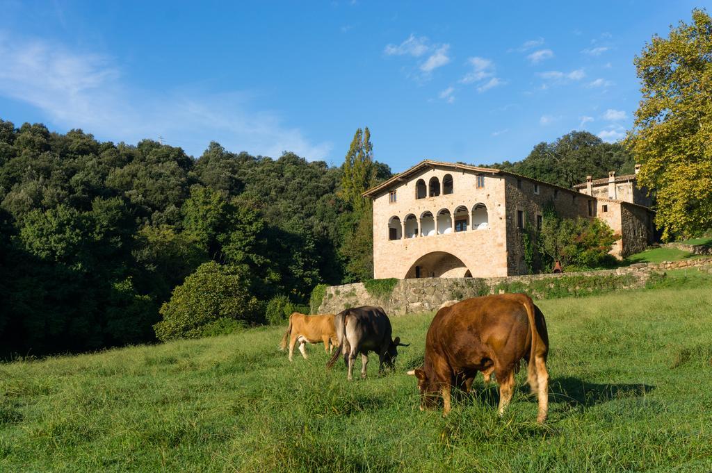 Casa Rural El Callis La Vall de Bianya Dış mekan fotoğraf